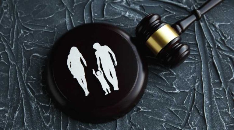 child custody - disagreement in child custody